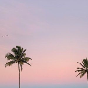 Meet your Posher, Brooklyn